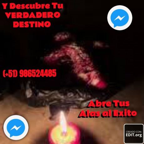 abre-tus-alas-al-exito-y-descubre-tu-verdadero-destino-big-0