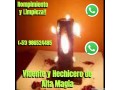 rompimiento-y-limpieza-vidente-y-hechicero-de-alta-magia-small-0