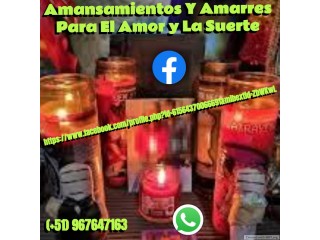 AMANSAMIENTOS Y AMARRES PARA EL AMOR Y LA SUERTE