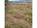 venta-de-terreno-de-132-m2-en-cajamarca-small-3