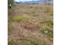 venta-de-terreno-de-132-m2-en-cajamarca-small-2