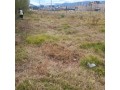 venta-de-terreno-de-132-m2-en-cajamarca-small-1