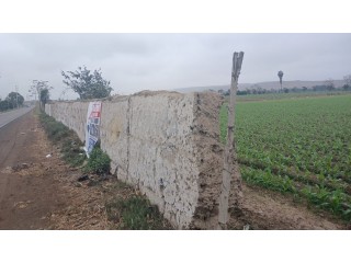 Venta De Terreno De 3.5 Hectáreas En Autopista La Quebrada En San Luis De Cañete