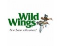 wild-wings-small-0