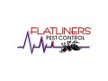 flatliners-pest-control-small-0