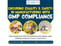 gmp-consultants-services-in-san-francisco-small-0
